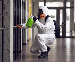 Best Biohazard Mold Removal in Dana Point, CA